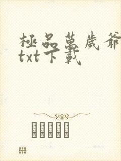 极品万岁爷小说txt下载