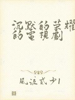 沉默的荣耀类似的电视剧