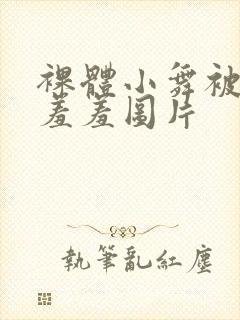 裸体小舞被吸乳羞羞图片