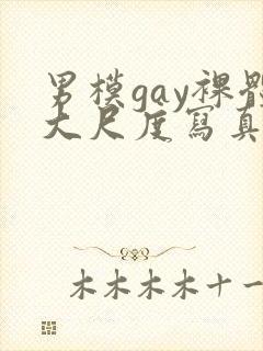 男模gay裸体大尺度写真