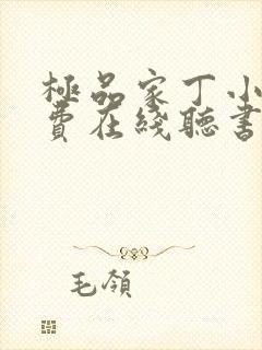 极品家丁小说免费在线听书