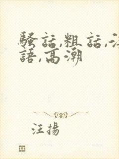 骚话,粗话,淫语,高潮