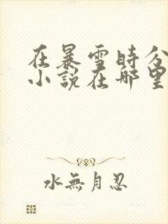 在暴雪时分原著小说在哪里看封面