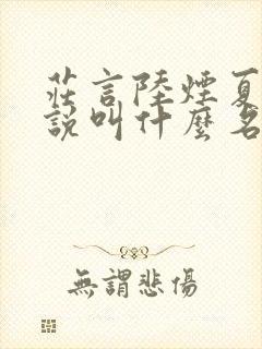 庄言陆烟夏晚小说叫什么名字