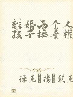 离婚两个人都要孩子抚养权怎么办