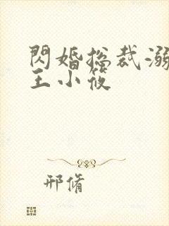 闪婚总裁溺宠妻王小筱