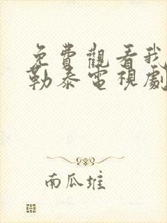 免费观看我的阿勒泰电视剧封面