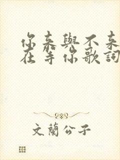 你来与不来我都在等你歌词