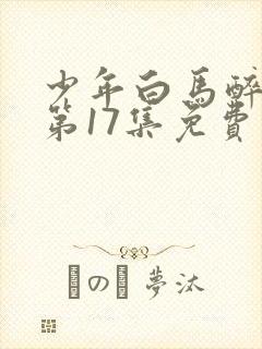 少年白马醉春风第17集免费观看