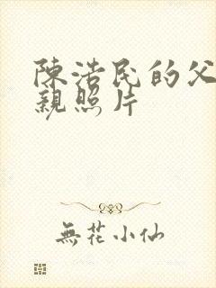 陈浩民的父亲母亲照片