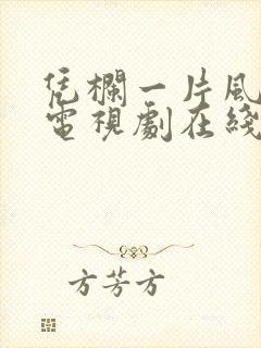 凭栏一片风云起电视剧在线播放