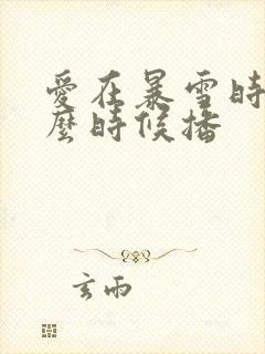 爱在暴雪时分什么时候播