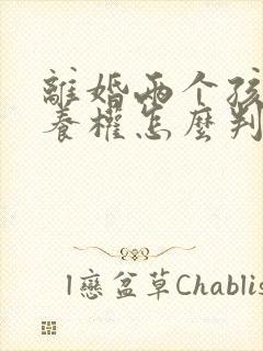 离婚两个孩子抚养权怎么判定