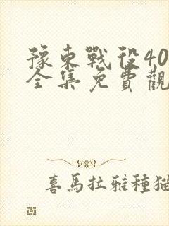 豫东战役40集全集免费观看电视剧大全