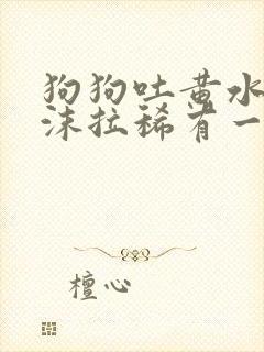 狗狗吐黄水带泡沫拉稀有一点带血封面