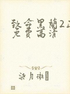 致命黑兰2正版免费高清