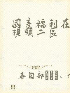 国产福利在线小视频二区