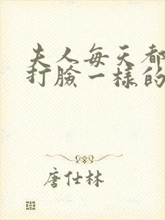 夫人每天都在线打脸一样的小说封面