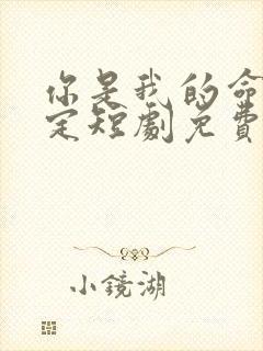 你是我的命中注定短剧免费观看