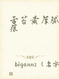 舌苔黄厚腻有齿痕