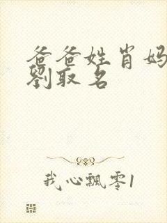 爸爸姓肖妈妈姓刘取名封面