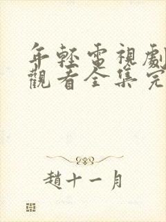 年轻电视剧免费观看全集完整版高清封面