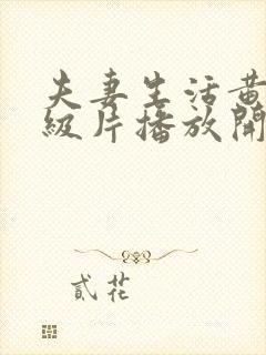 夫妻生活黄色一级片播放开始