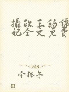 摄政王的锦绣王妃全文免费阅读封面