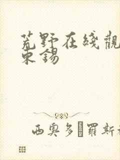 荒野在线观看马东锡