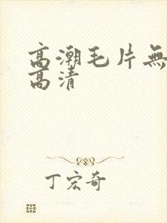 高潮毛片无遮挡高清