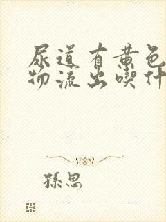 尿道有黄色分泌物流出吃什么好