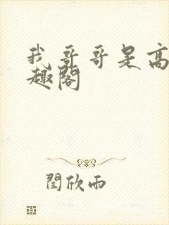 我哥哥是高欢笔趣阁