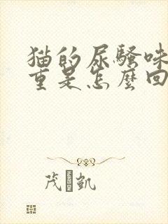 猫的尿骚味特别重是怎么回事