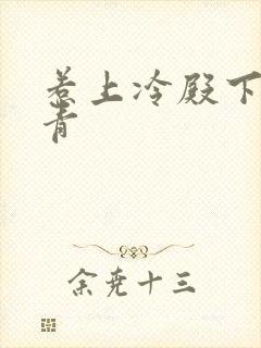 惹上冷殿下陈青青