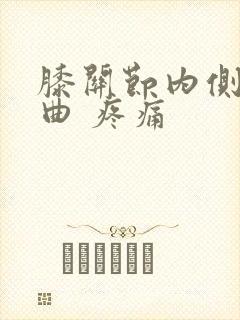 膝关节内侧 弯曲 疼痛