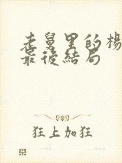 老舅里的杨小姐最后结局封面