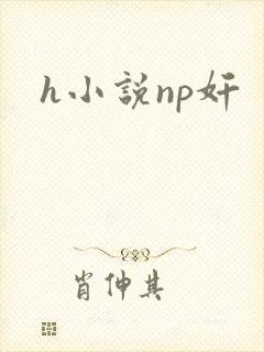 h小说np奸封面