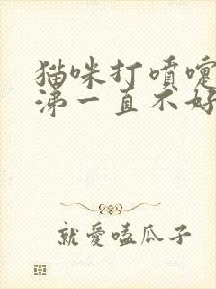 猫咪打喷嚏流鼻涕一直不好怎么办