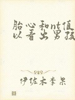 胎心和nt值可以看出男孩女孩吗