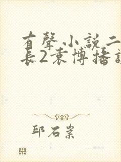 有声小说二号首长2袁博播讲