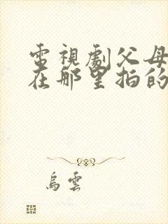 电视剧父母爱情在那里拍的封面