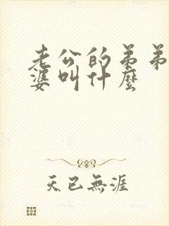 老公的弟弟的老婆叫什么