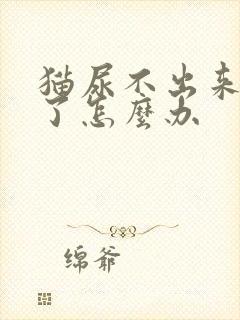 猫尿不出来还吐了怎么办