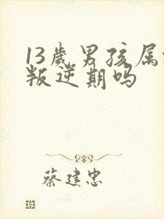 13岁男孩属于叛逆期吗