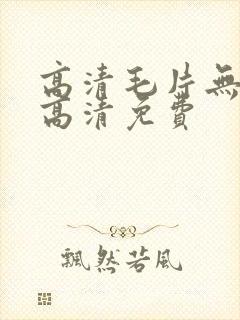 高清毛片无遮挡高清免费