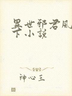 异世邪君风凌天下小说