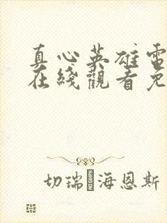 真心英雄电视剧在线观看免费高清