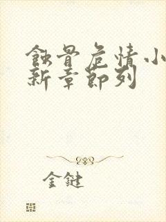 蚀骨危情小说最新章节列