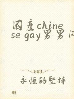 国产chinese gay男男网站