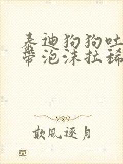 泰迪狗狗吐黄水带泡沫拉稀